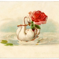 Vintage swan with red rose