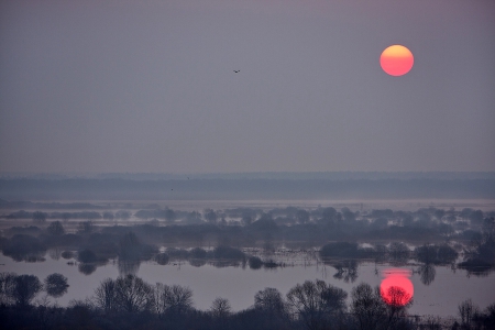 Sunset - sunset, water, nature, amazing