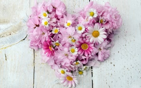 Floral heart - white, pink, heart, valentine, flower