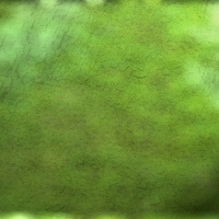 green lit background