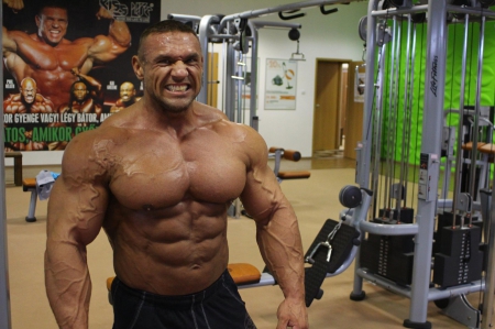 Bodybuilder - huge, muscle, bodybuilder, men