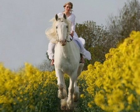 Between yellow flowers - flowers, riding, horse, woman