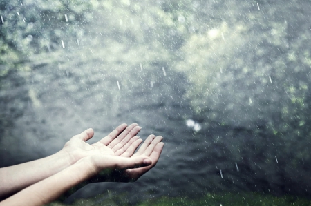 Feel the Rain - nature, hands, hand, rain