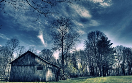 forest - fun, nature, barn, forest, cool