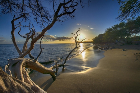 We have only this moment - ocean, nature, beach, sun