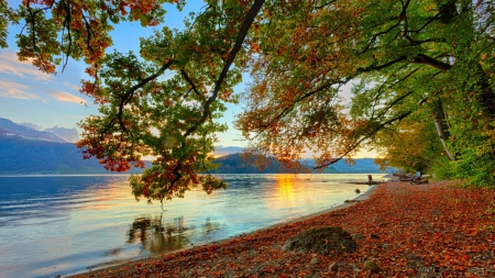 Beauty of Nature - trees, water, beach, reflection, mountain, dawn, river, fallen leaves, autumn, sun, sky