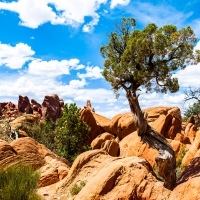 Arches National Park in Utah