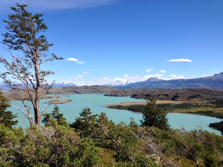 lake - lake, forest, cool, fun, nature