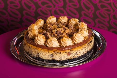 chocolate peanut butter cake - fun, food, yummy, entertainment, cake, cool