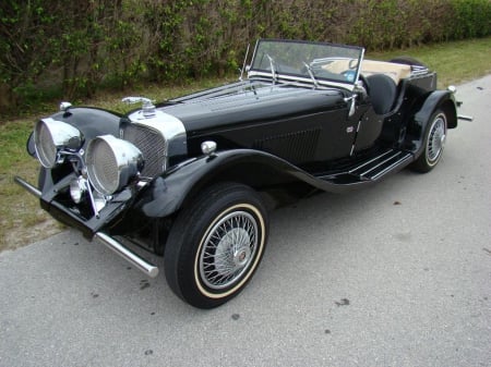 jaguar ss 100 - hedge, jaguar, roadster, vintage