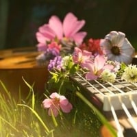 Flowers and Guitar