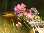 Flowers and Guitar