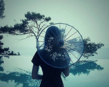 Mysterious Woman - back, woman, trees, umbrella