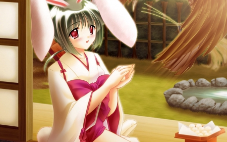 bunny girl - girl, rabbit, pond, ears