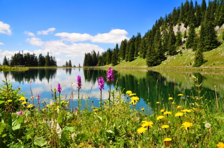 Spring lake - lake, sky, freshness, landscape, hills, trees, spring, serenity, reflection, tranquil, beautiful, flowers, grass, wildflowers