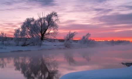 Winter sunset - lake, ainter, sunset, trees