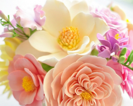 Beautiful Flowers - flowers, petals, nature, bloom