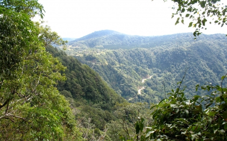 mountain forest - nature, fun, forest, mountain, cool