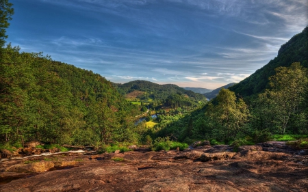 mountain forest - nature, fun, forest, mountain, cool