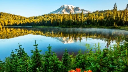 Reflection Lake - reflections, trees, beautiful, snowy peaks, shrubs, grass, forest, sunset, tranquility, lake, mountains