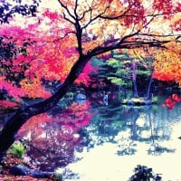 Fall in Japan