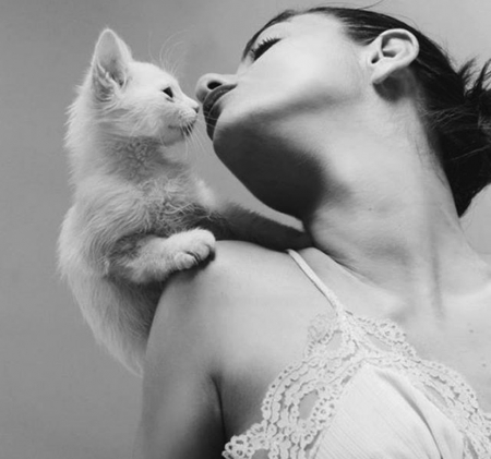 Kiss - white, cool, people, photography, cats, black