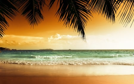 Amazing Nature - beach, tree, sand, sea