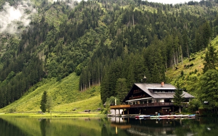 Lovely green - house, trees, nature, river