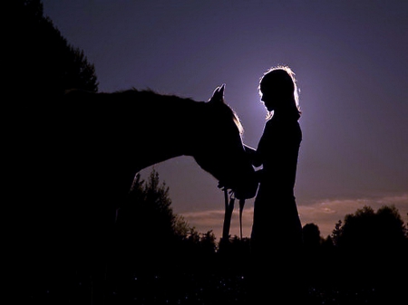 End of the day - affection, horse, girl, evening