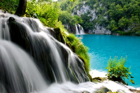 Waterfall - lake, forest, trees, stream, waterfall