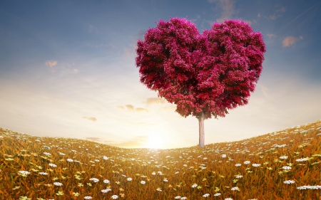 Tree of Love - heart, Nature, Love, simple, tree