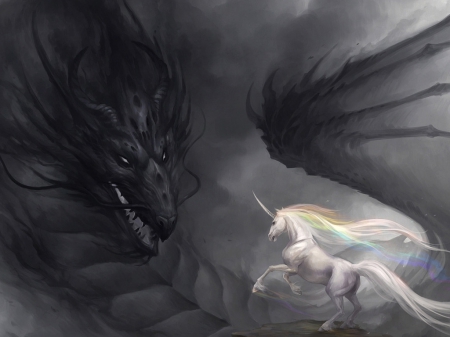 Unicorn and dragon - white, fantasy, black, dragon, unicorn