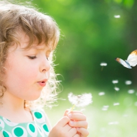 Blowing Dandelions