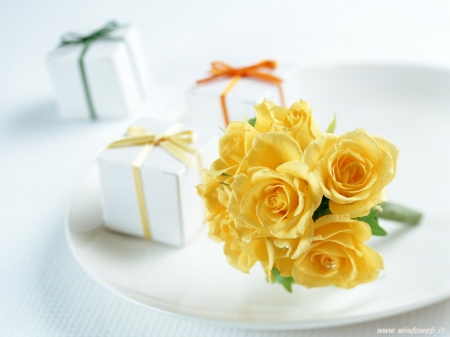 Flowers - flowers, yellow, nature, soft