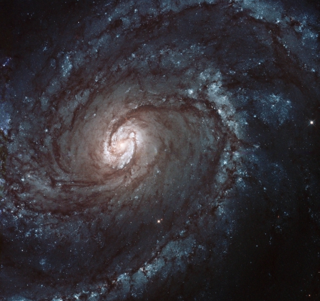 M100 A Grand Design Spiral Galaxy - space, fun, stars, cool, galaxy