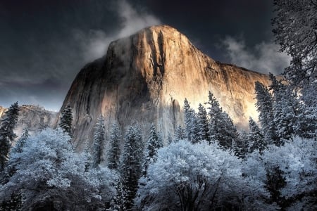 Winter Evening in Yosemite - ice, trees, dark, mountain, usa, el capitan