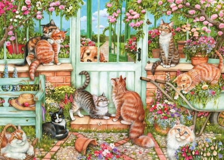 CATCH US IF YOU CAN - SHEAD, CATS, BOO, DOG, PEEK, GARDEN, FLOWERS