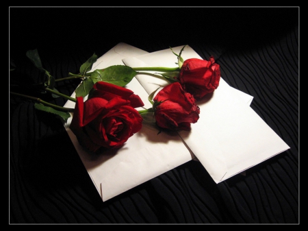 ♥ Love Letter♥ - warm, flowers, roses, romantic, photography, love