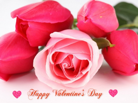 â™¥â™¥ Happy Valentine's Day â™¥â™¥ - tulips, bouquet, flowers, still life, rose