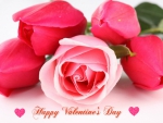 â™¥â™¥ Happy Valentine's Day â™¥â™¥