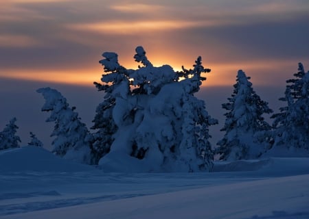 Marvelous - winter, sunset, snow, splendid