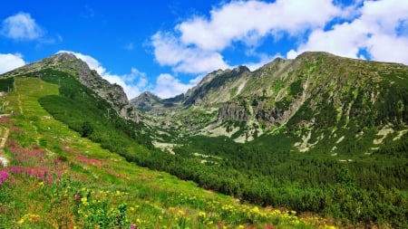 Mountain valley - clouds, slope, grass, valley, mountain, flowers, wildflowers, nature, cliffs, sky, rocks