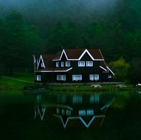 Amazing Place - house, forest, trees, river