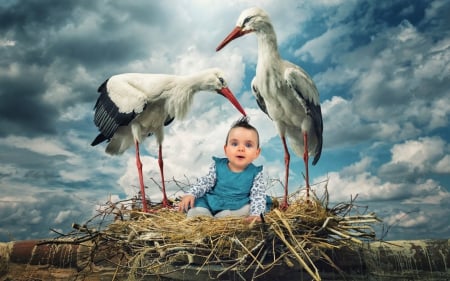 A fantasy or... not? - couple, people, stork, child, creative, fantasy, model, spring, bird, nest, baby, boy, situation, blue, cute, birds