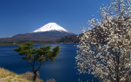 nature - nature, fun, lake, cool, mountain, forest