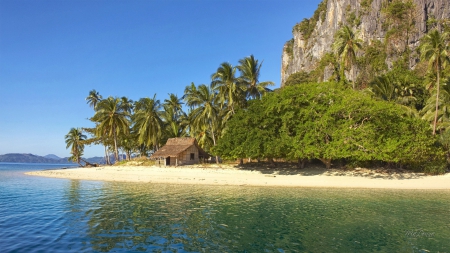 Island Tranquility - trees, beach, tranquil, serene, sea, island, sand, holiday, hut, cottage, retreat