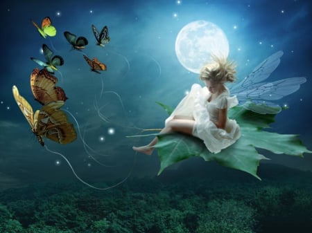 moonlight fairy - leaf, moonlight, butterfly, fairy