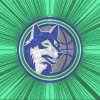 Timberwolves Cracked glass 1st Logo