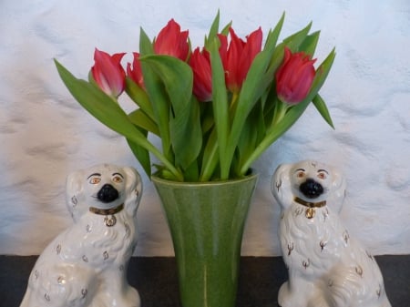 Happy Valentines Day ! - red, dogs, tulips, colors, vase