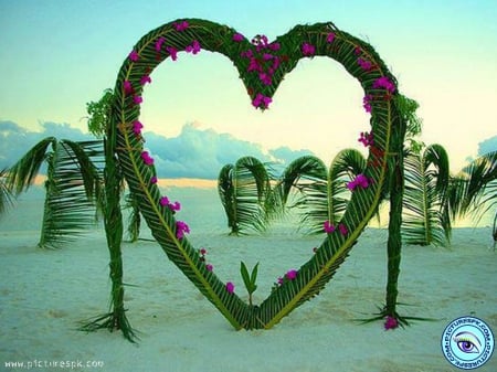 Palm Tree Heart on Beach - beaches, palm trees, hearts, abstract, photography